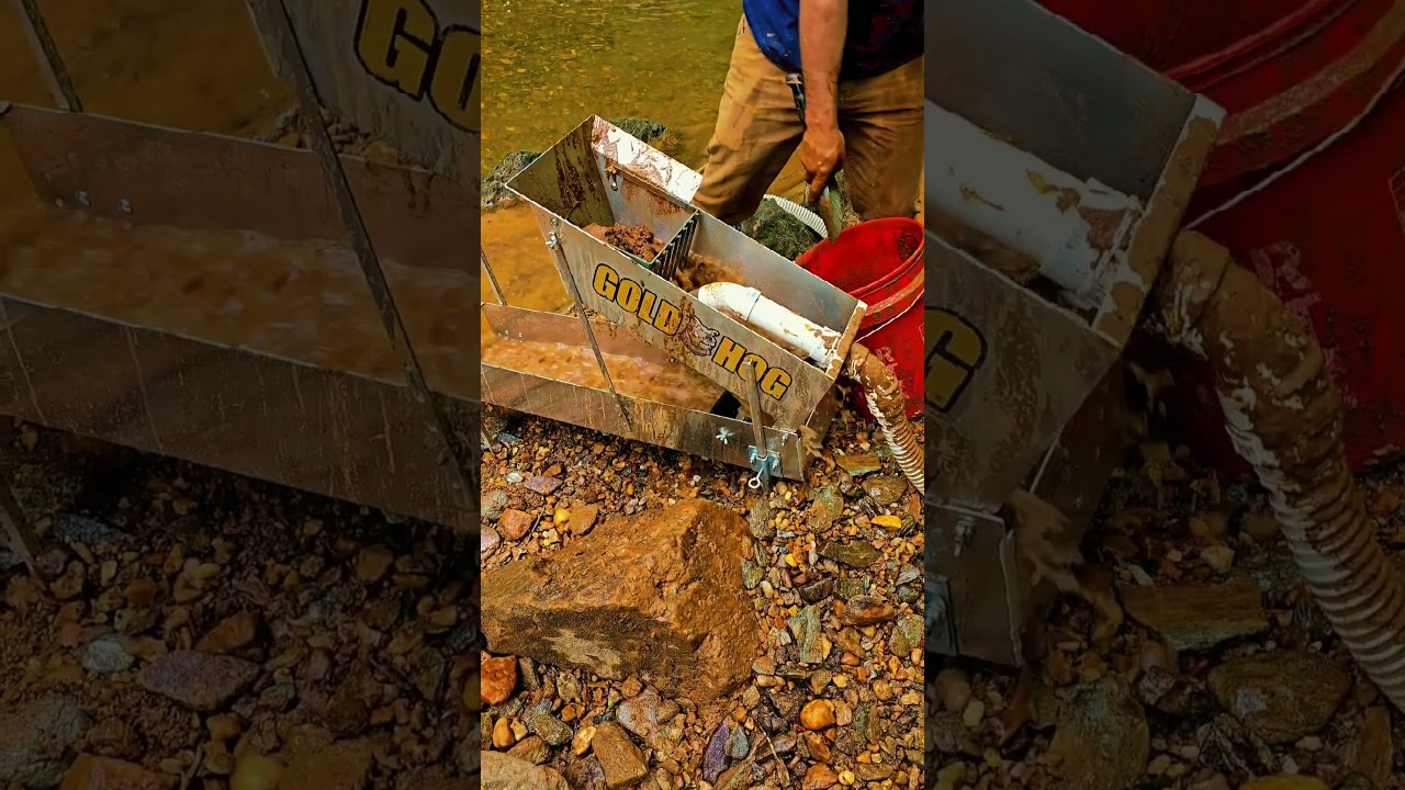 Virginia Gold Prospecting Deep Crevice #goldmining #treasure #goldpanning #goldprospecting #oro