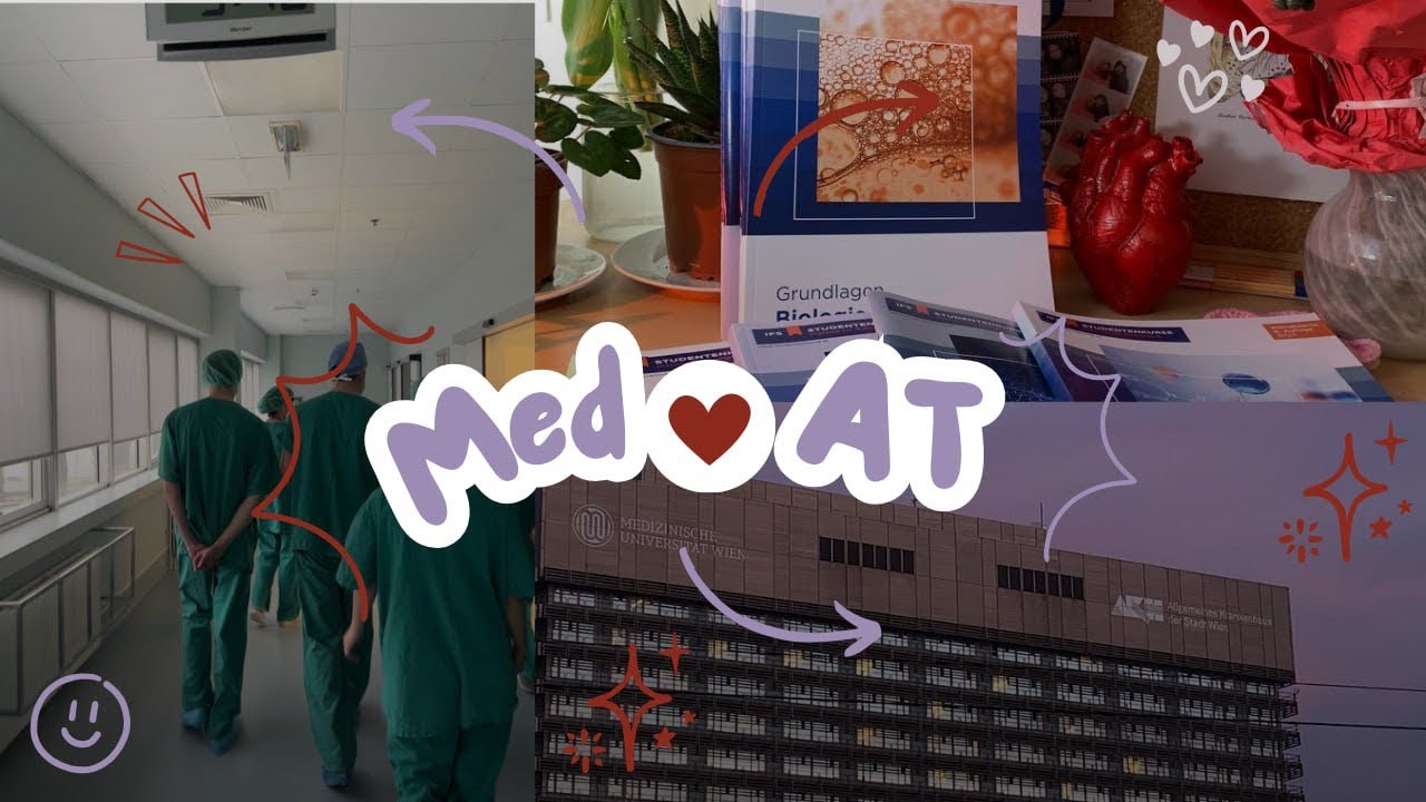 MedAt: структура, подводные камни и мои нелюбимые части 