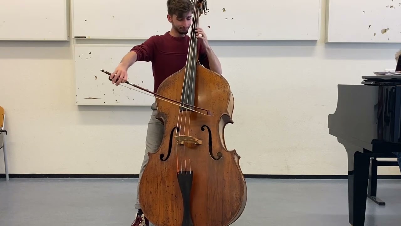 Sonata a Viola da Gamba BWV 1028 - J.S.Bach (Andante)