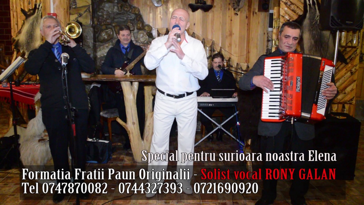 Frații Păun si solist vocal Rony - special pentru Elena