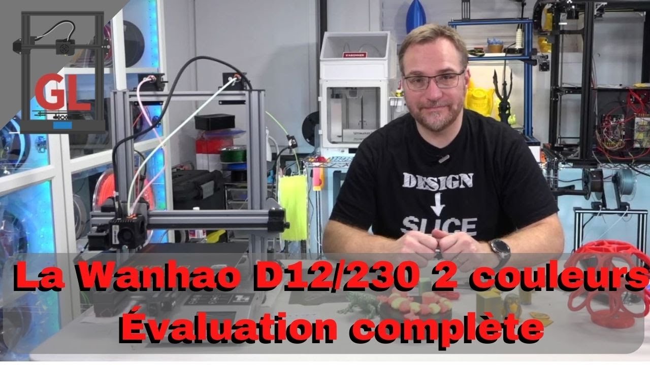 Wanhao D12/230 2 couleurs : Évaluation complète !