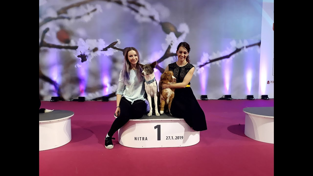 FUN QUATTRO - WINTER SHOW 2019
