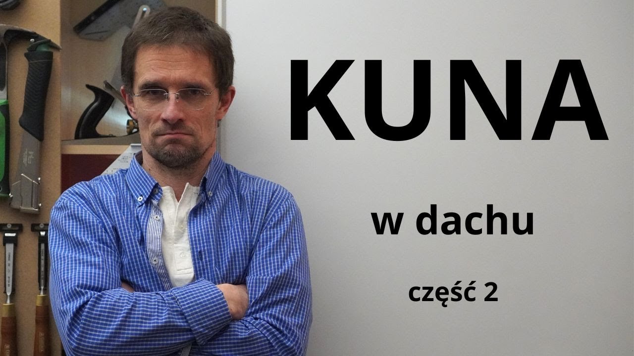 Kuna w dachu. Część 2