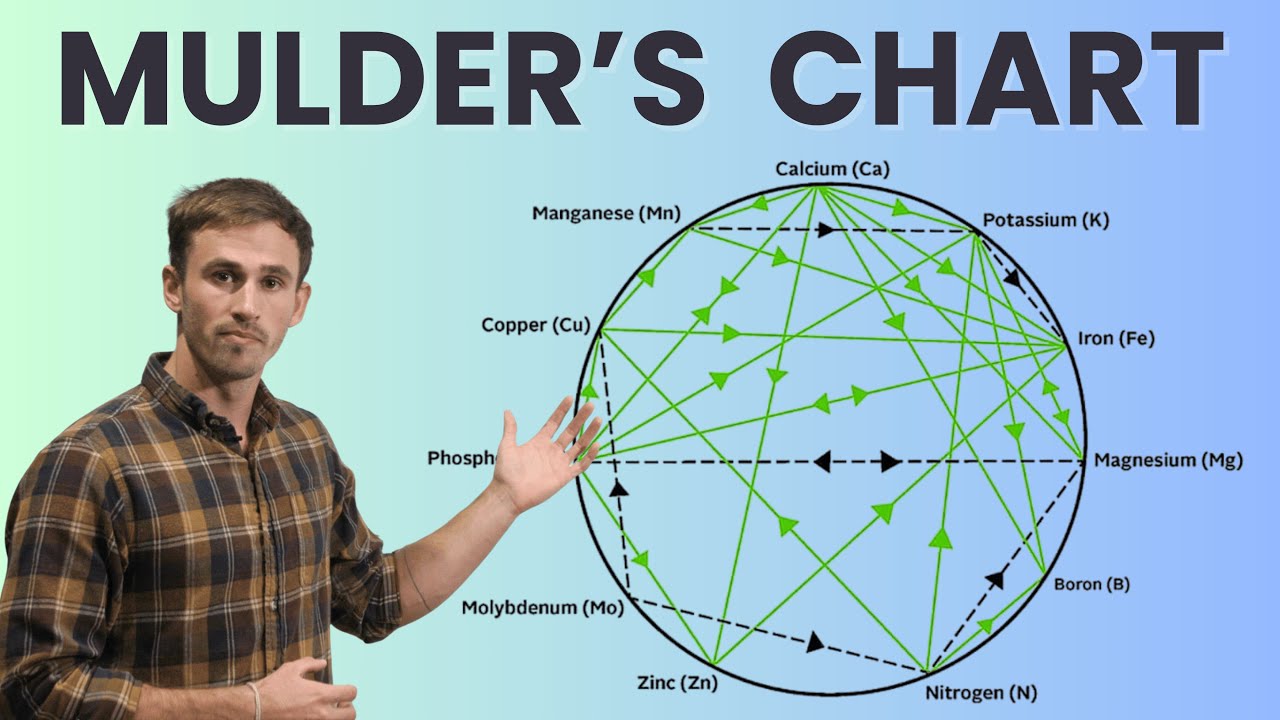 Principles of Mulder's Chart
