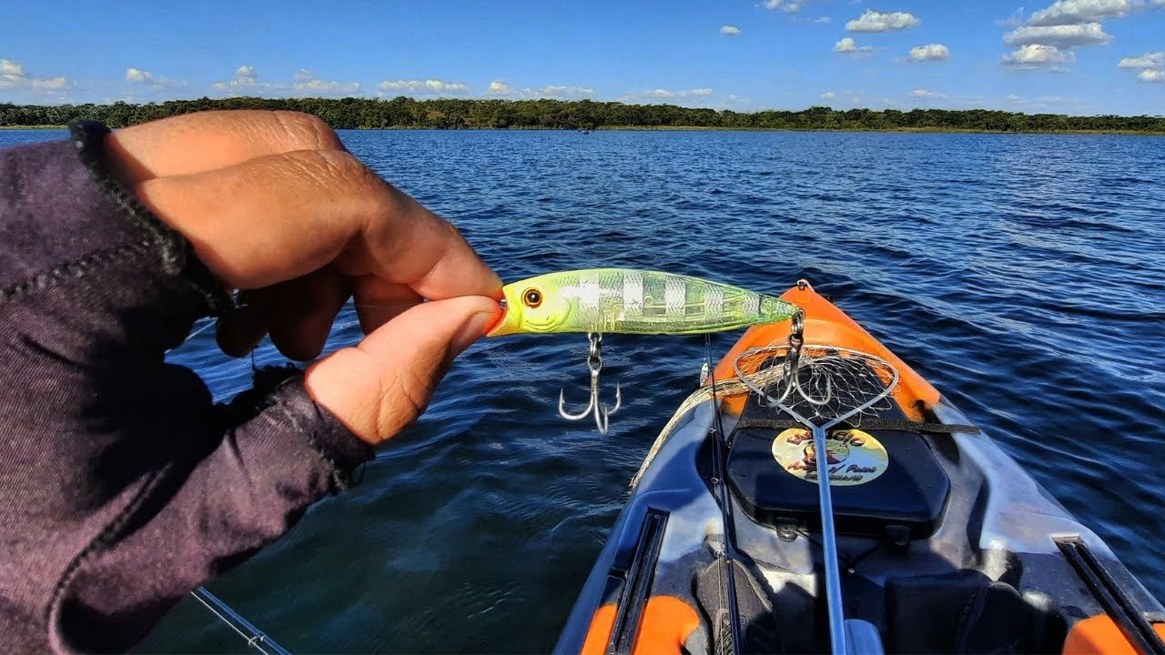 PESCARIA DE TUCUNARÉ NO FRIO, NO RIO PARANÁ. 