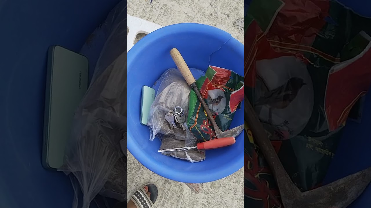 আবারো গাছের হাটে গেলাম কি কি গাছ কেনা যায়