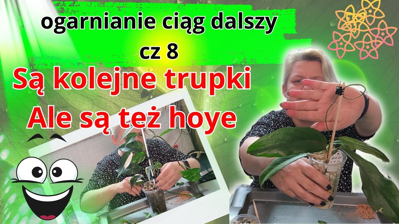 💀 Prawie trupki, trupki i zdechlaki. Ale są też i hoye-żyjące 🤓czyli  ogarniam cz8 🤩 Autopromocja 😃