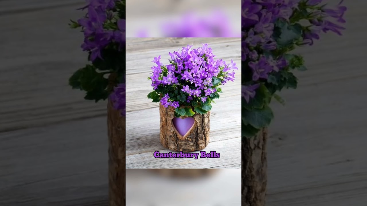 100+ Purple Flower Plants #plantandplanting