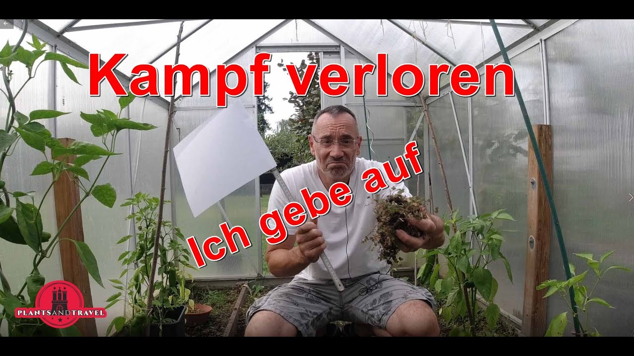 Wie beseitigt man Klee im Garten? Klee aus Rasen entfernen , Tipps und Tricks zum entfernen von Klee