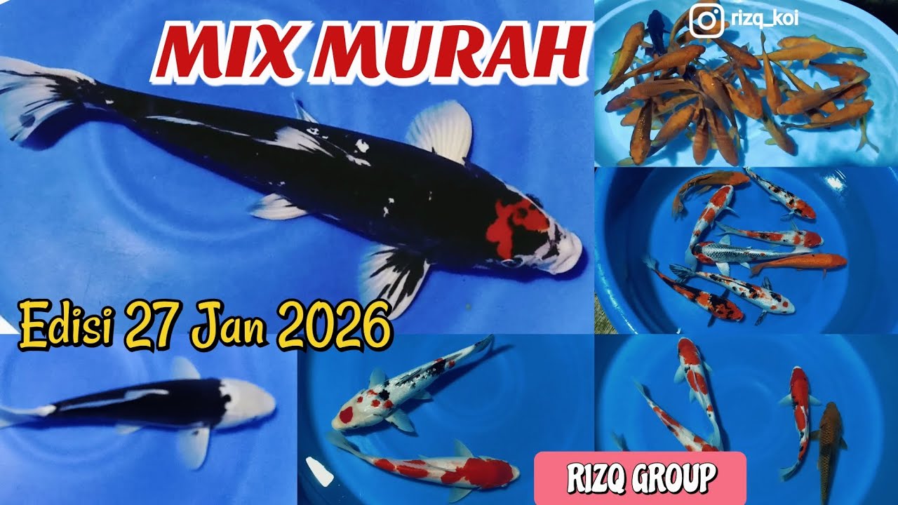 MIX MURAH‼️ Edisi 27 Januari 2026‼️RIZQ GROUP 