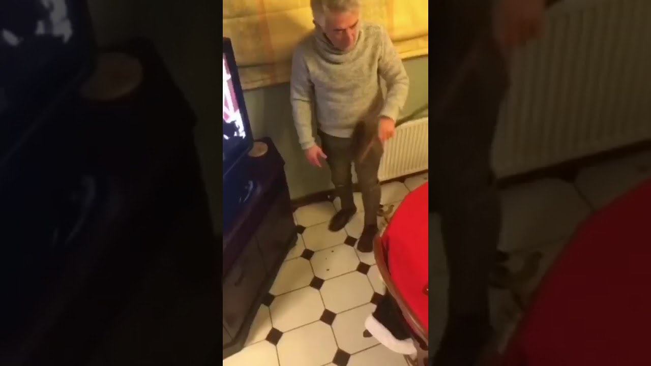 'Bat Dad' Returns to Banish Tom the Mouse From the Kitchen