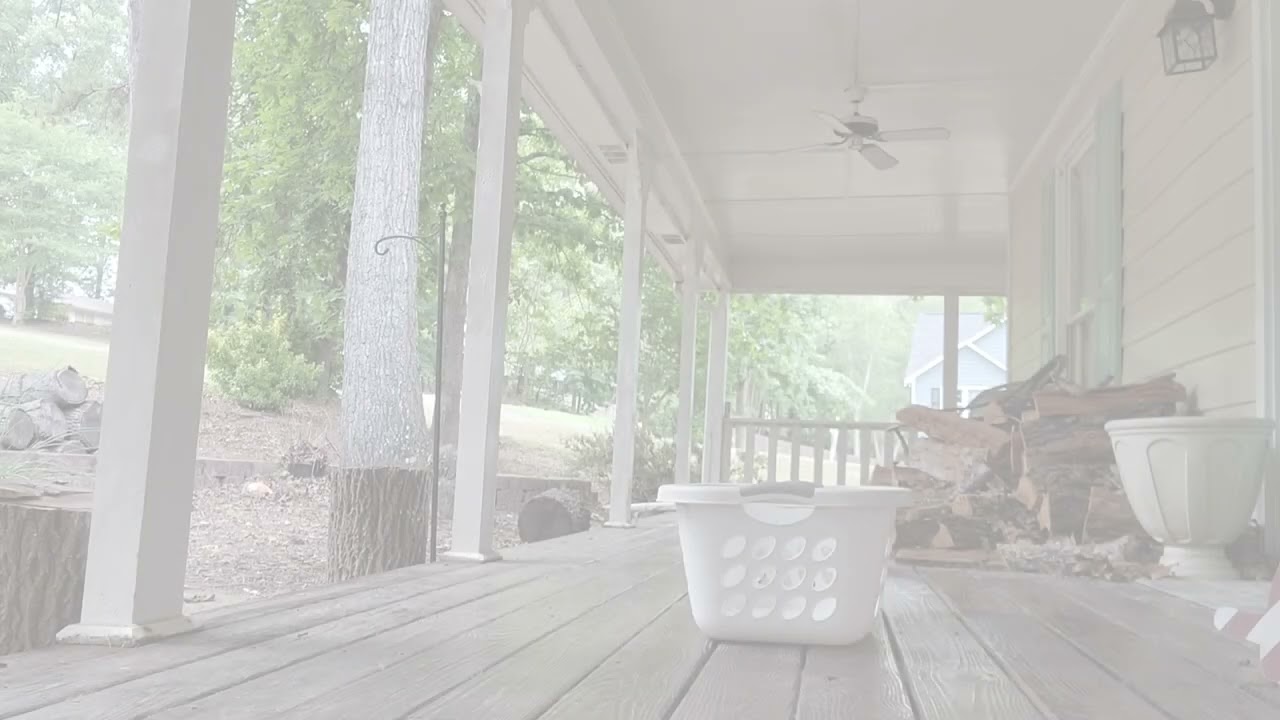 AKC Trick Dog Novice -  Part 1