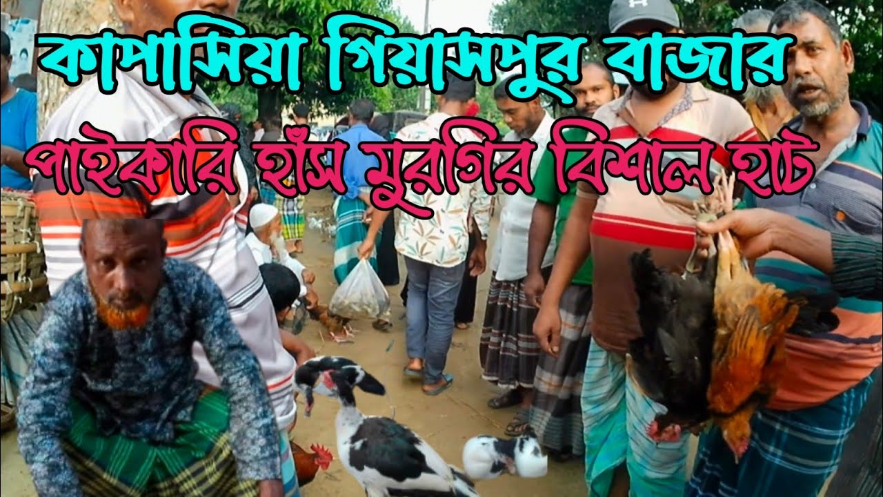 কাপাসিয়া গিয়াস পুর বাজার পাইকারি হাঁস মুরগির বিশাল হাঁট, কাপাসিয়া, গাজীপুর