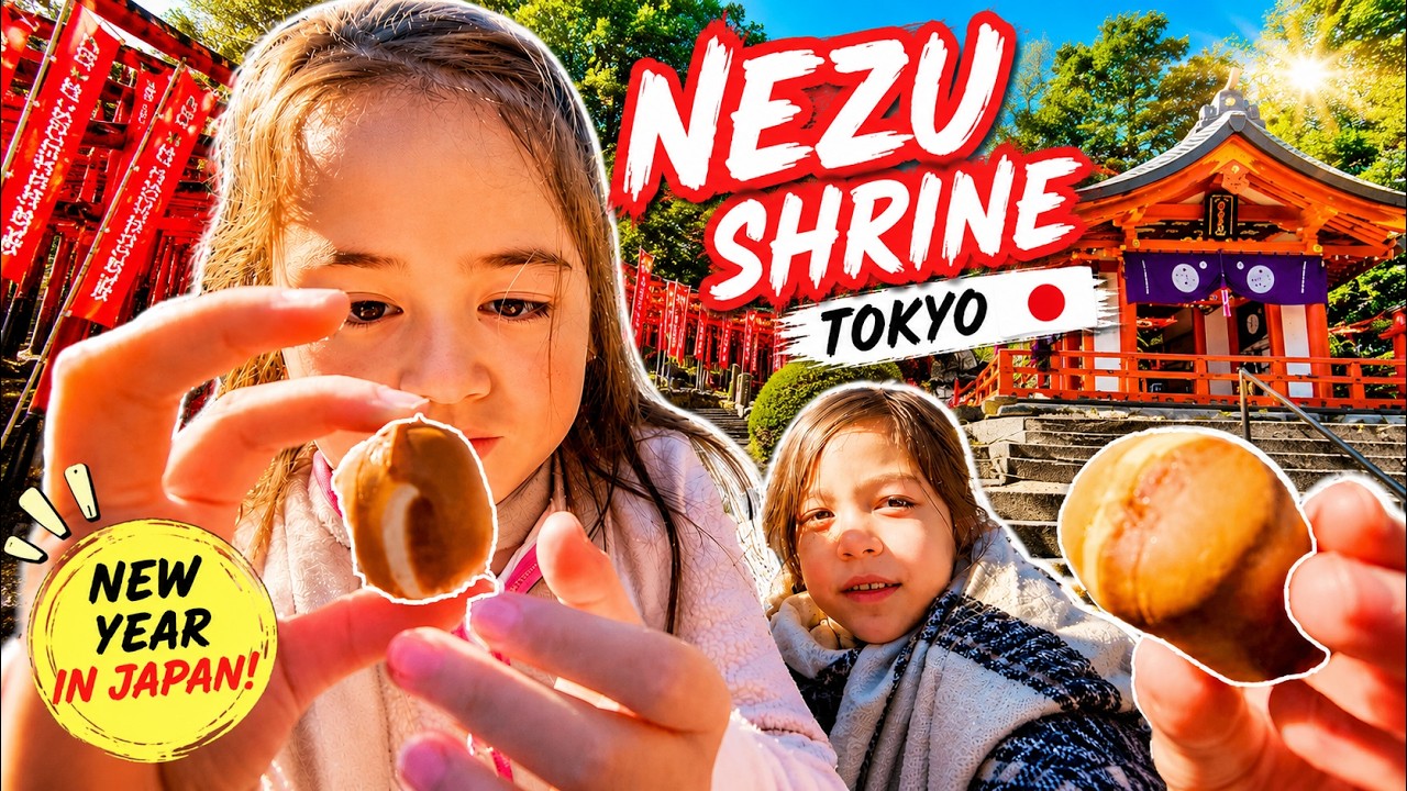 The TOP #1 thing to do in Tokyo, Japan for New Years! VISIT A SHRINE IN JAPAN!