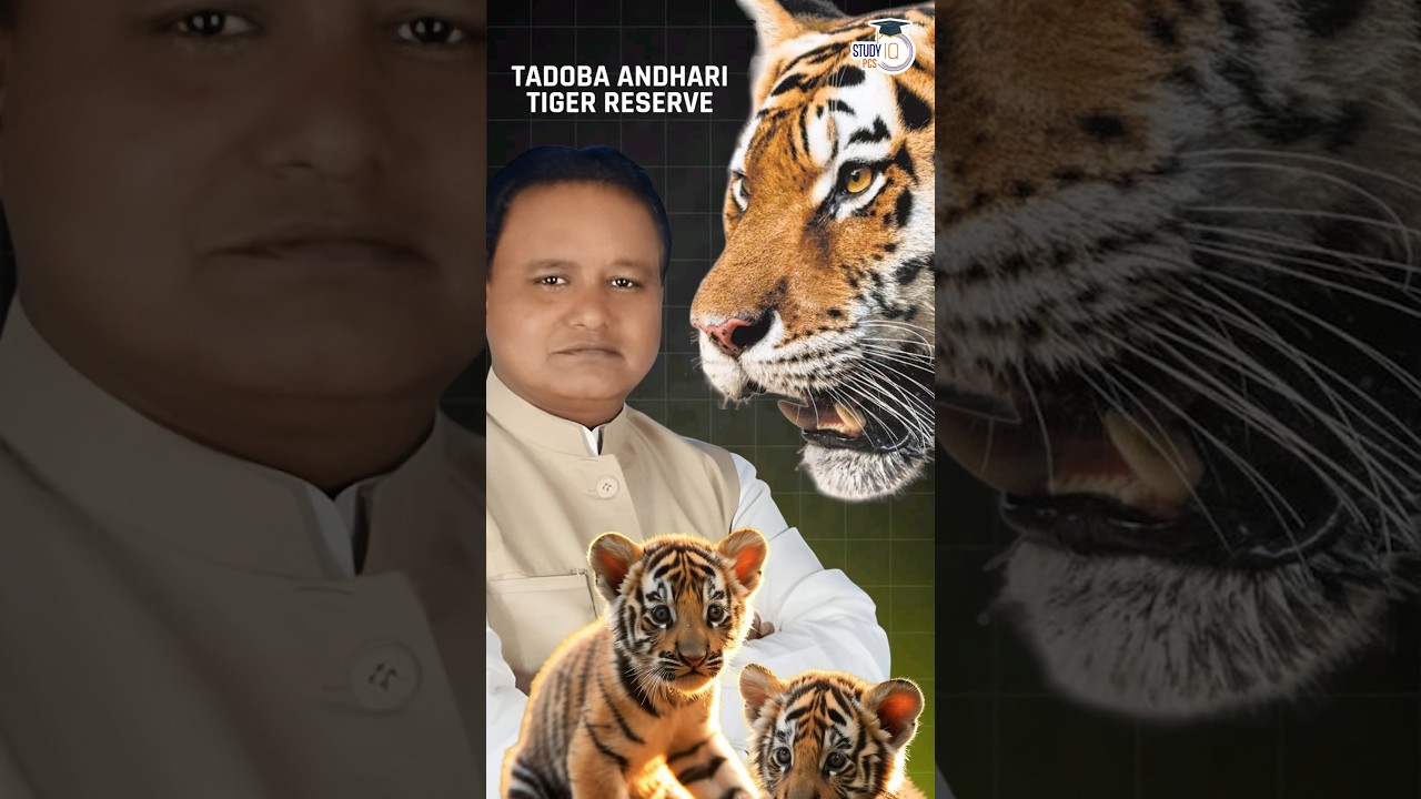 Odisha&rsquo;s Similipal Becomes 107th National Park | Rare Black Tigers Revealed #SimilipalNationalPark