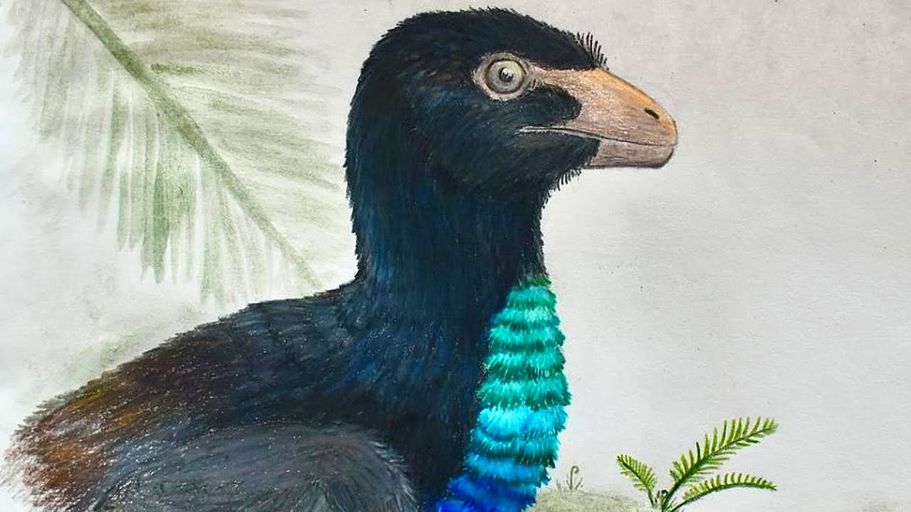 Caihong - The Iridescent Dinosaur