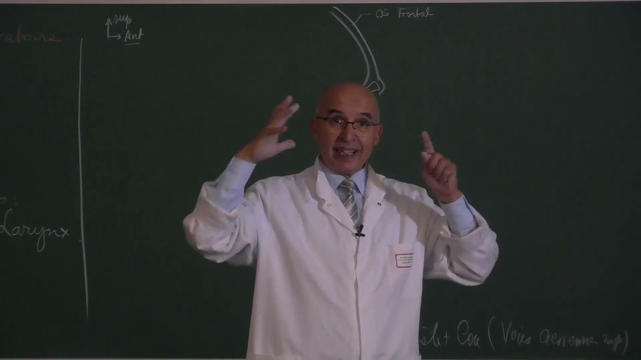 COURS ANATOMIE 10: Appareil Respiratoire Partie 1
