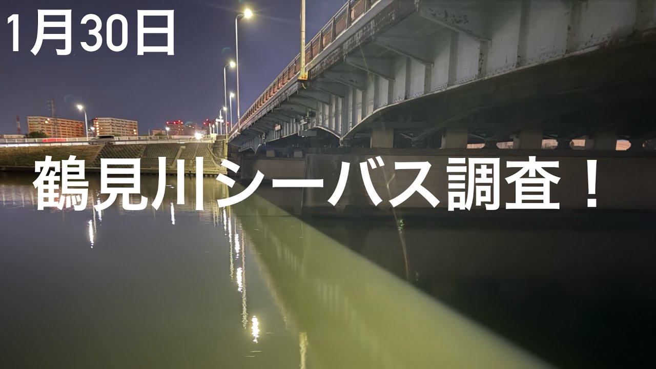 【鶴見川】1月30日鶴見川シーバス調査！