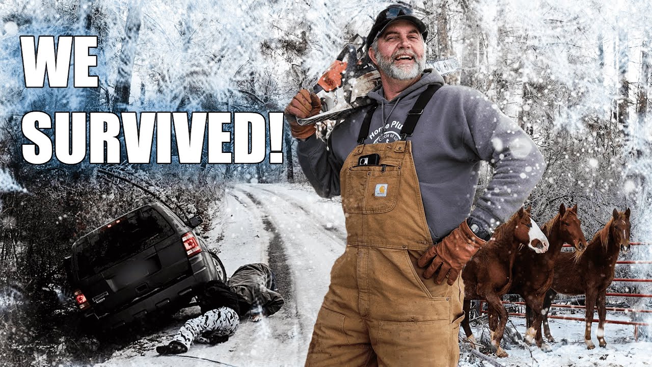 Snowed In, Iced Over, Still Smiling | Horse Shelter Heroes - HSH S7 E4