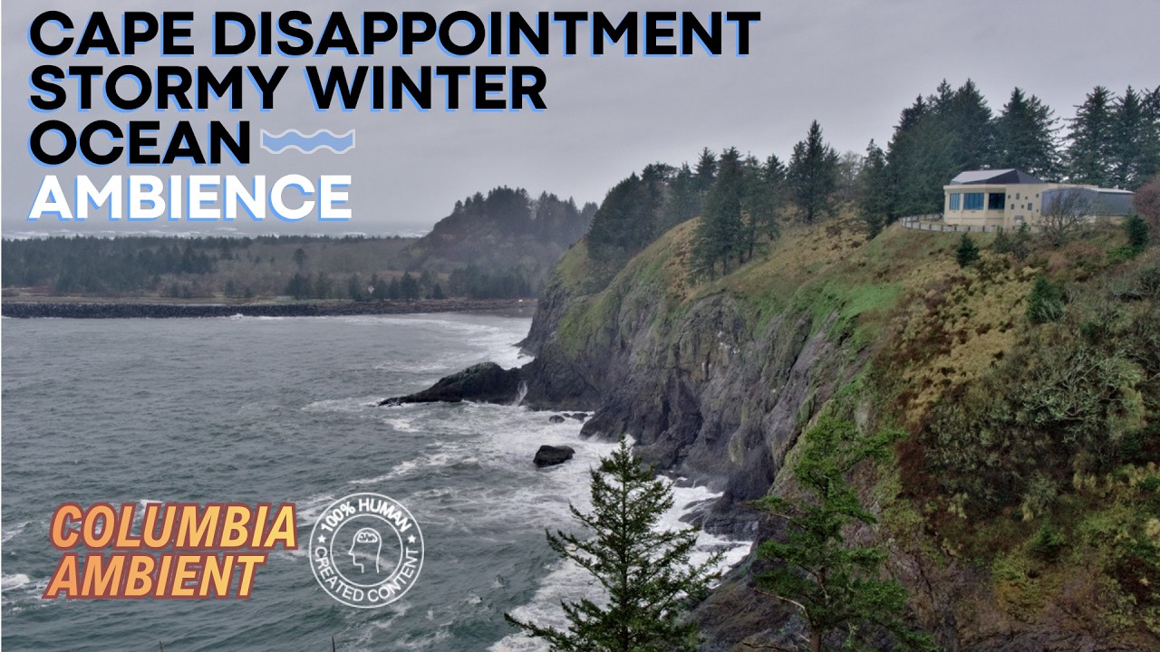I Drove to the Edge of Washington in a Winter Storm with my Fujifilm X-Pro3 (Cape Disappointment)