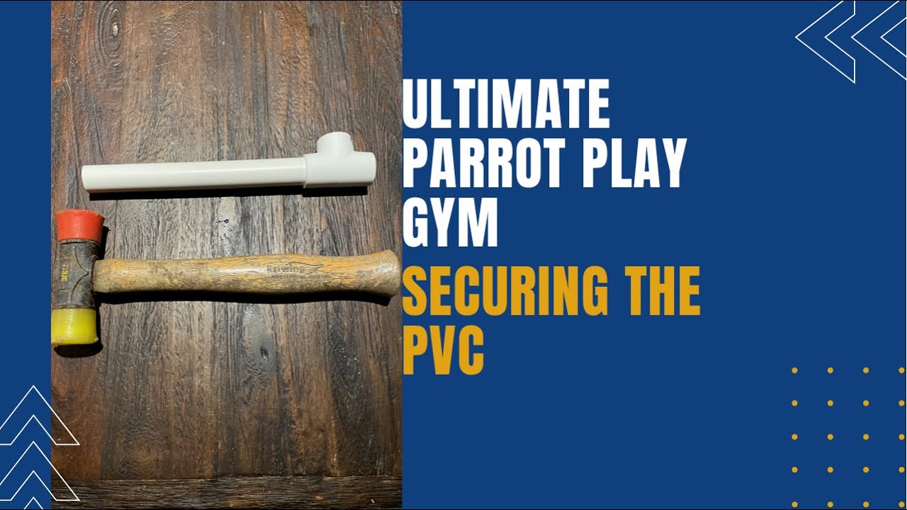 Ultimate Parrot Play Gym: Securing the PVC