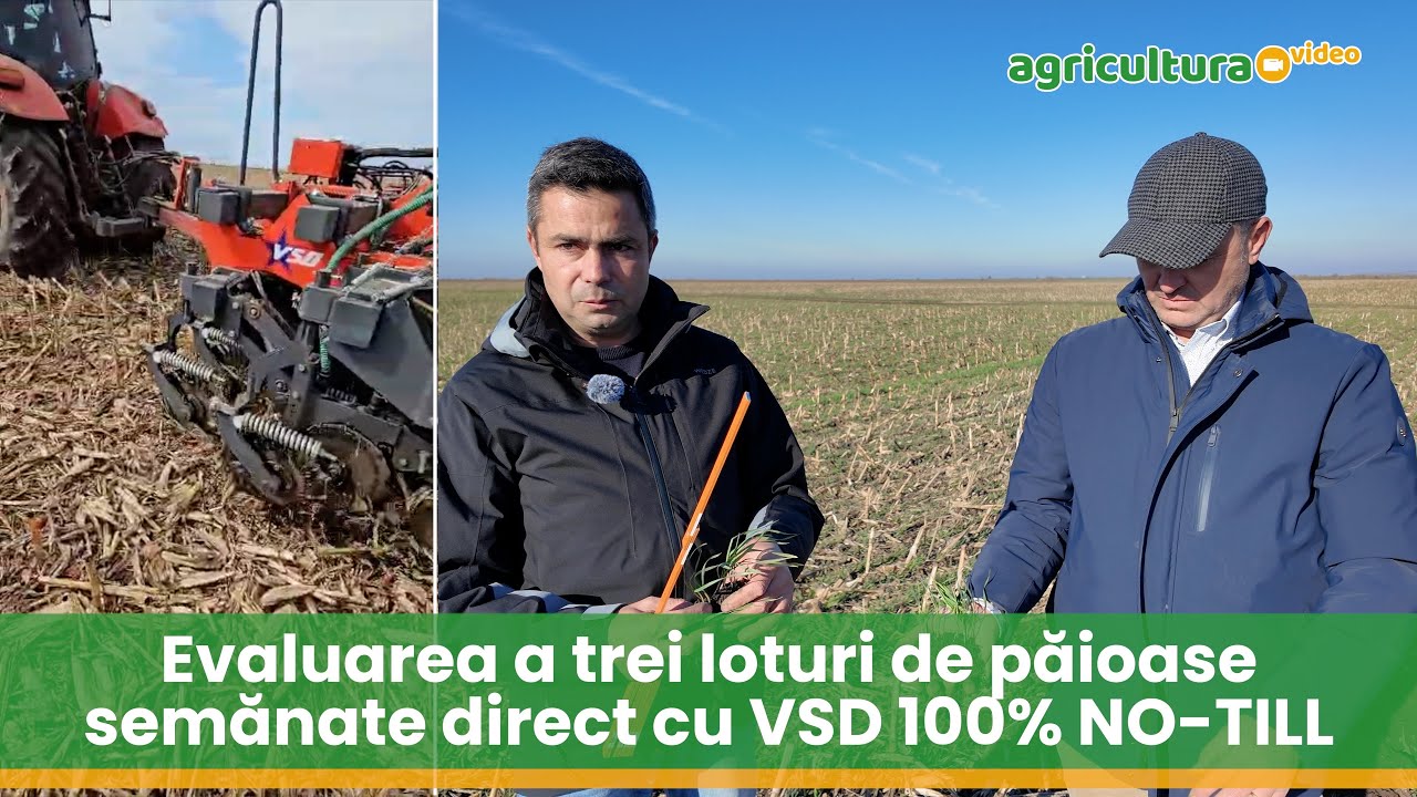 𝗣𝗿𝗶𝗺𝗮 𝗲𝘃𝗮𝗹𝘂𝗮𝗿𝗲 𝗮 𝗹𝗼𝘁𝘂𝗿𝗶𝗹𝗼𝗿 𝗱𝗲 𝗰𝗲𝗿𝗲𝗮𝗹𝗲 𝗽𝗮̆𝗶𝗼𝗮𝘀𝗲 𝘀𝗲𝗺𝗮̆𝗻𝗮𝘁𝗲 𝗱𝗶𝗿𝗲𝗰𝘁 𝗰𝘂 𝗩𝗦𝗗 𝟭𝟬𝟬% 𝗡𝗢-𝗧𝗜𝗟𝗟