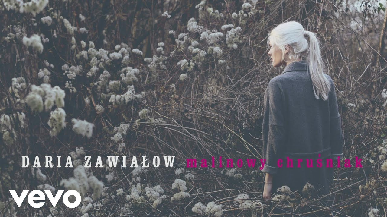 Daria Zawiałow - Malinowy Chrusniak (Audio)