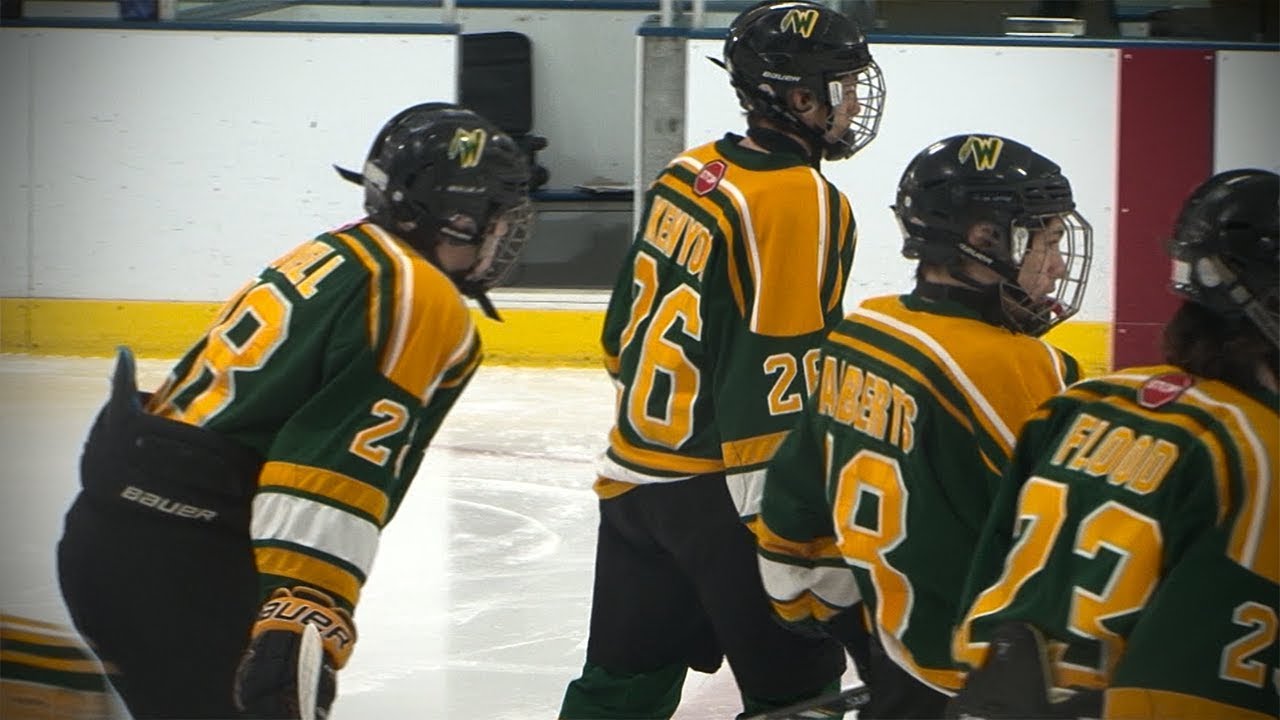 Waubonsie Valley vs. Glenbard, State Semi-Finals Hockey // 03.13.18