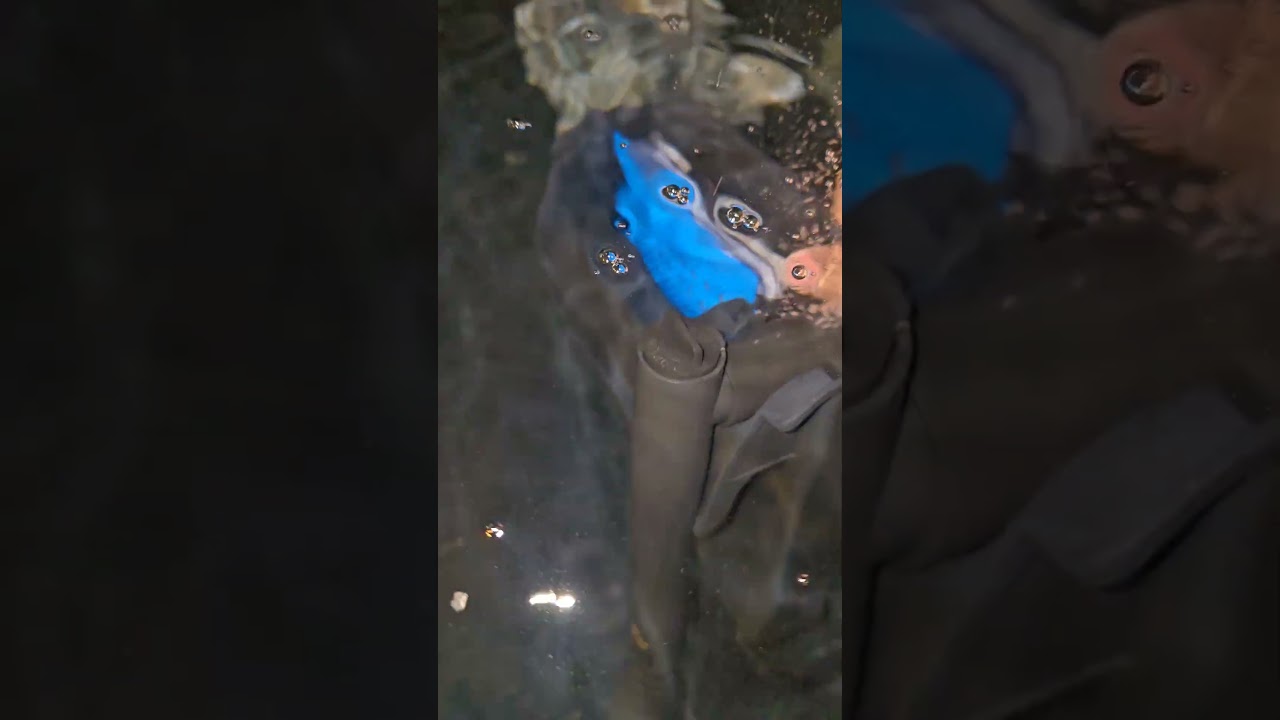 top fin PF30 pump not pumping water (help!)