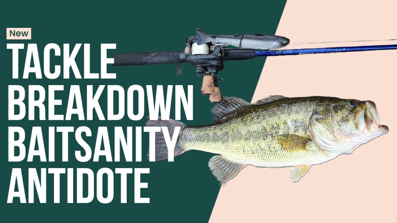 Baitsanity Antidote Glide Bait Cast для ловли и устранения поломки