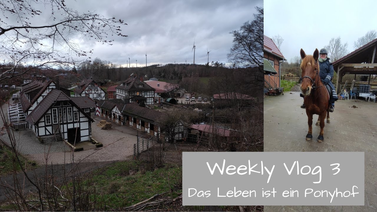 Weekly Vlog 3 - Reisebuchung und ein Wochenende auf dem Reiterhof