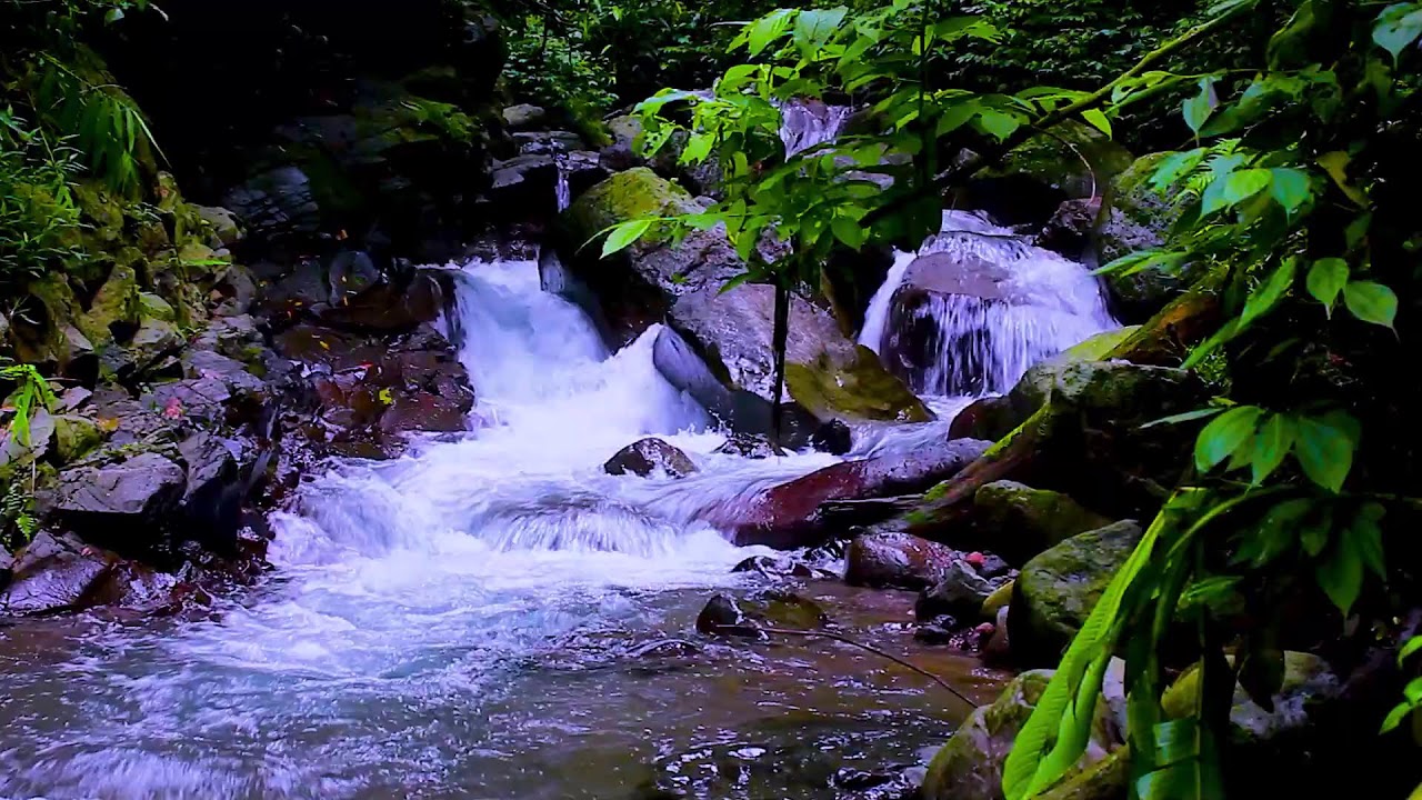 Natural Mountain River Flow | Deep Sleep Water Sounds and Calm Nature White Noise