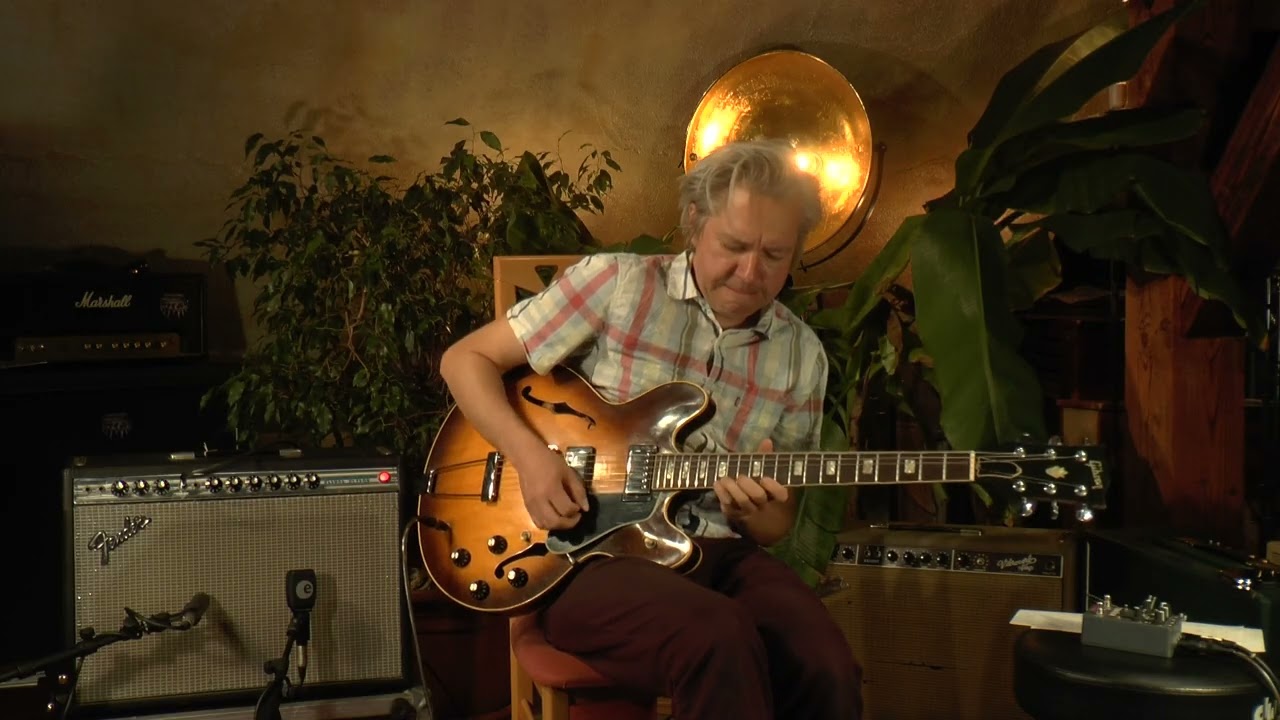 Gibson ES-335 TD from 1981 presented by Tobias Hoffmann @VintageGuitarOldenburg