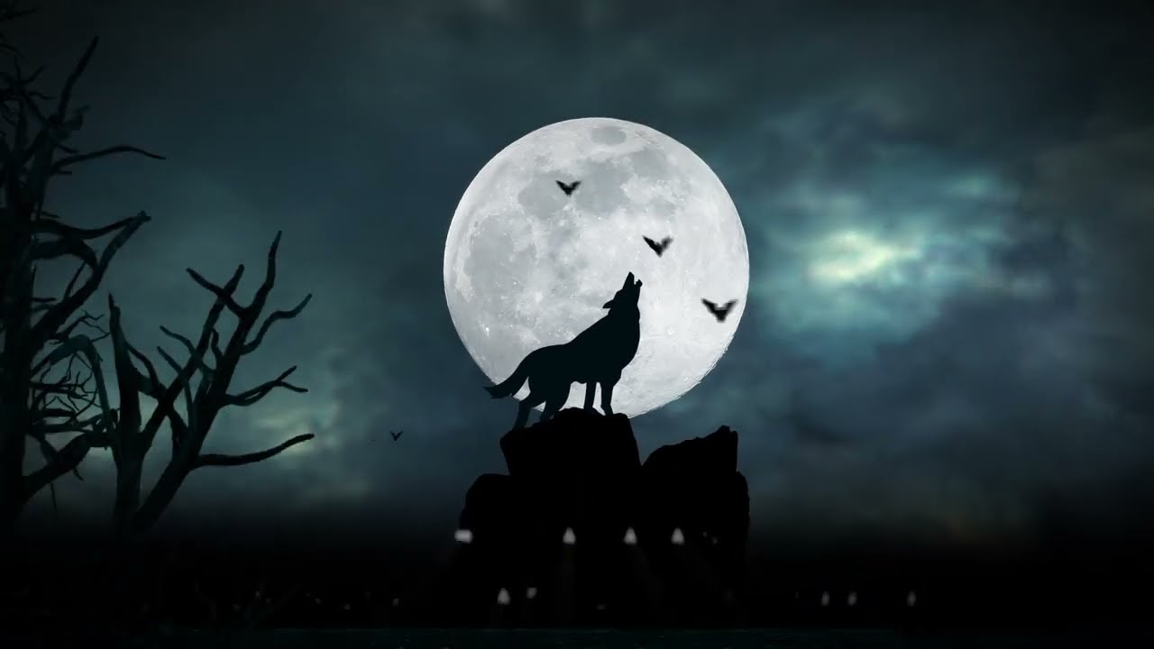 HistoriasdeTerrordeSFMC IV 💀🎃 PROXIMAMENTE