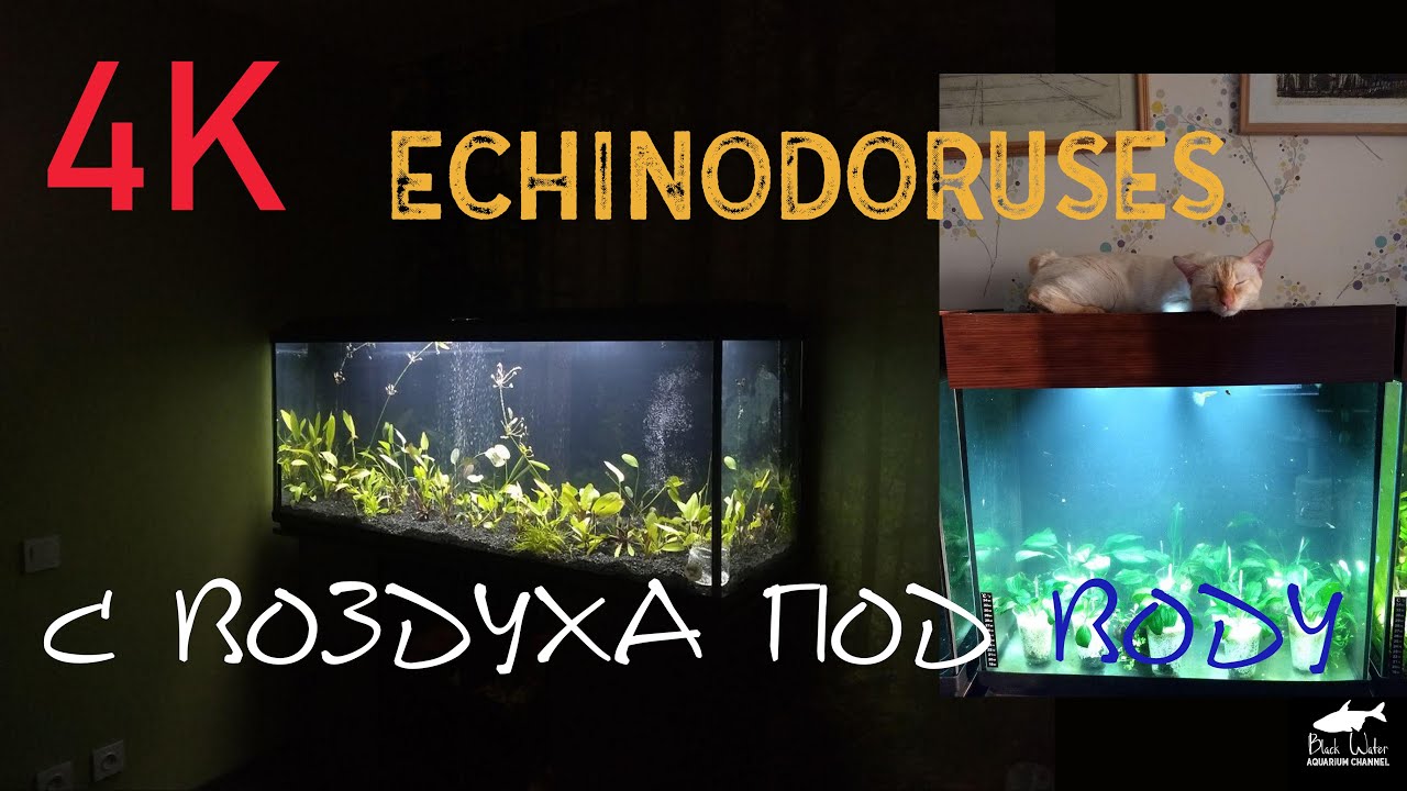 Эксперимент 