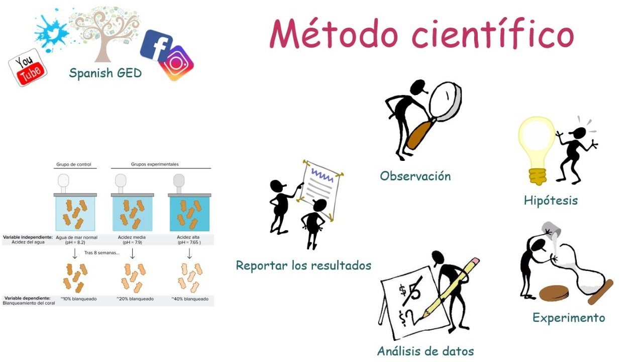 Pasos del método científico