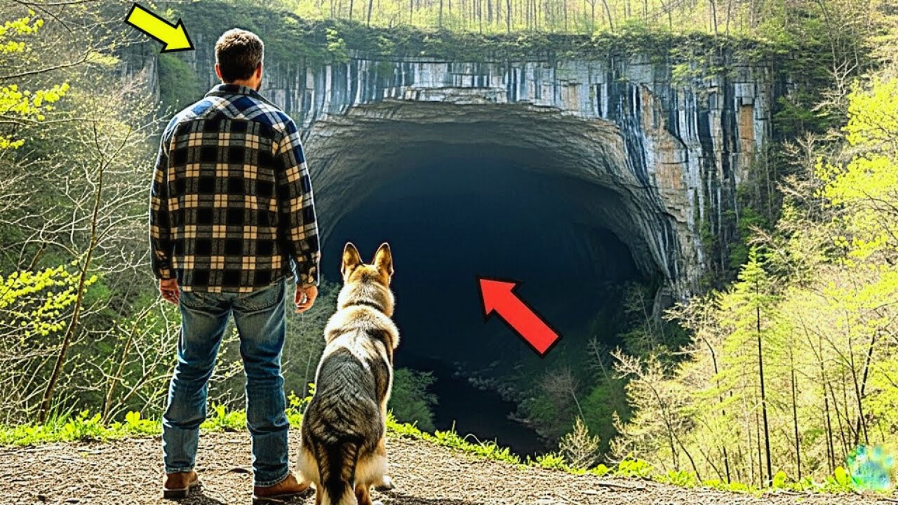 Un veterano en duelo heredó una cueva sin valor... Lo que su perro K9 encontró dentro fue...