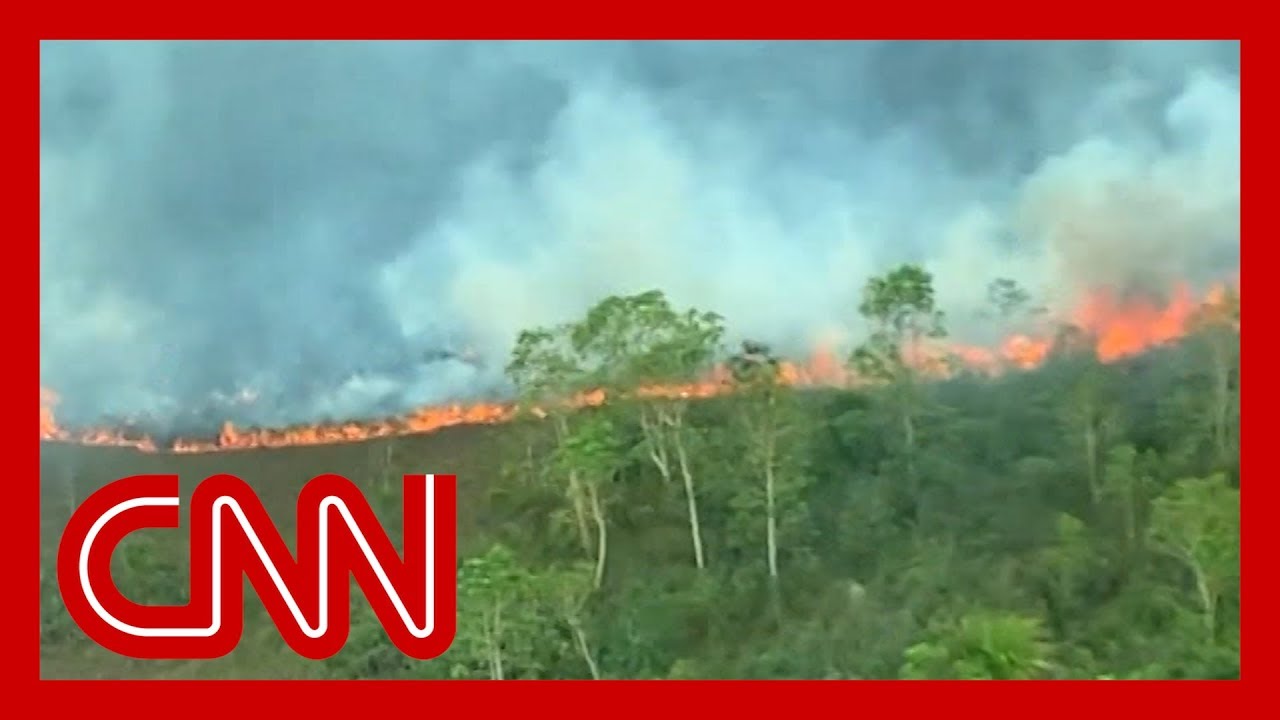 Flying above the Amazon fires: 'All you can see is death'