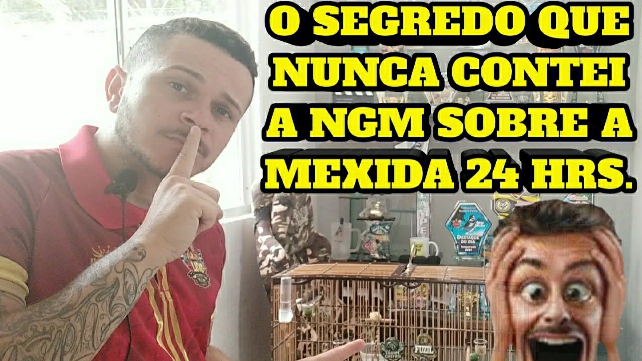 SEGREDO REVELADO SOBRE A MEXIDA 24 HORAS NA FÊMEA ( coleiro e papacapim )