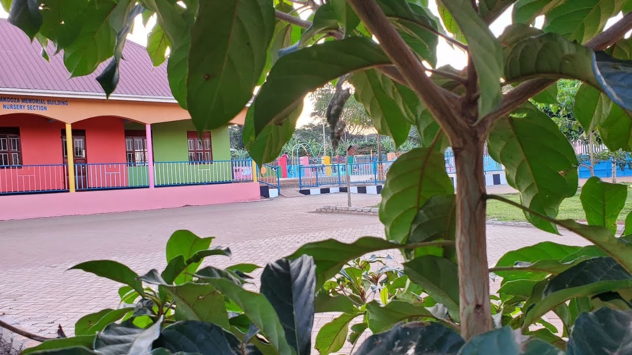 BIIKIRA MARIA OW’EFATIMA | Our Lady of the Rosary School, Nabutongwa
