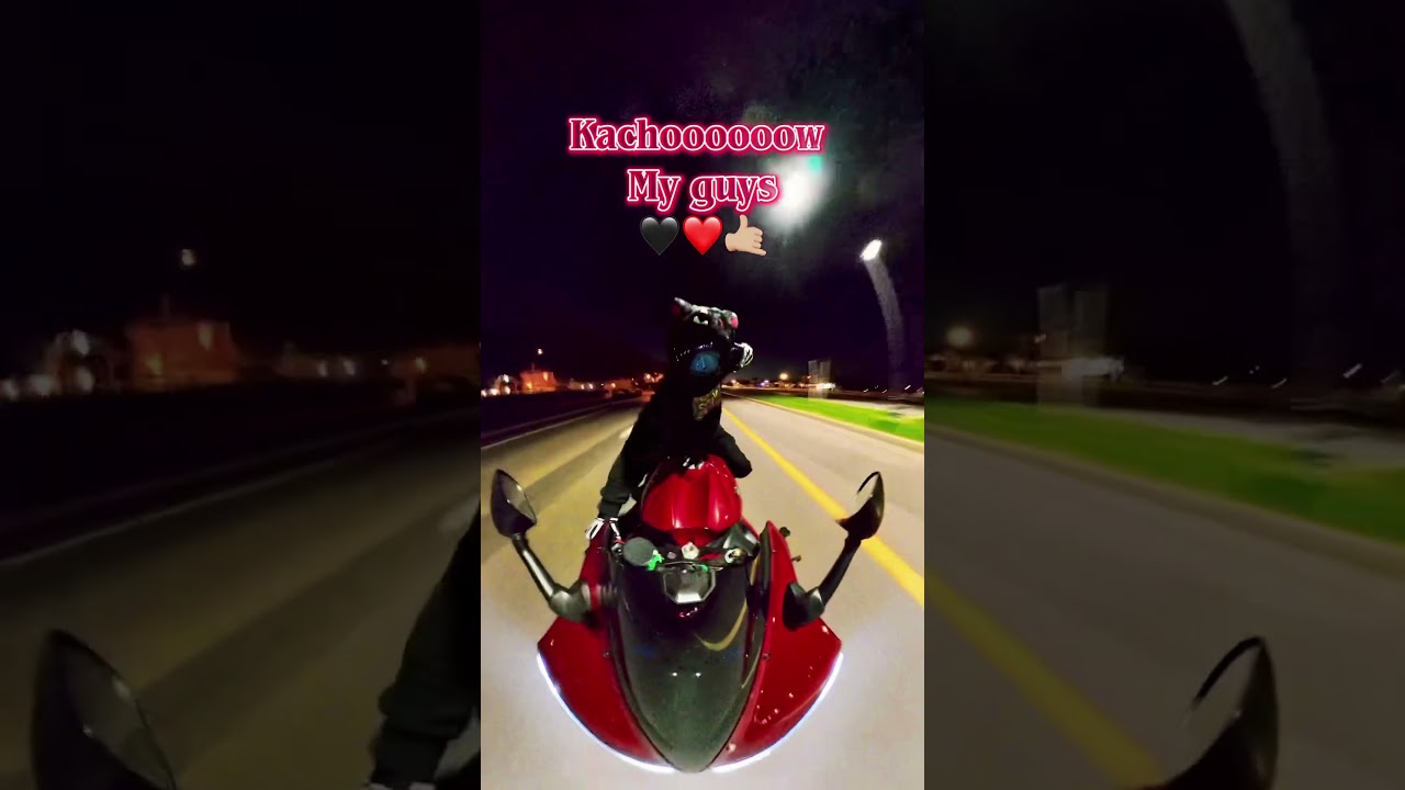 Качоу, мои дорогие! 🖤❤️🤙🏼