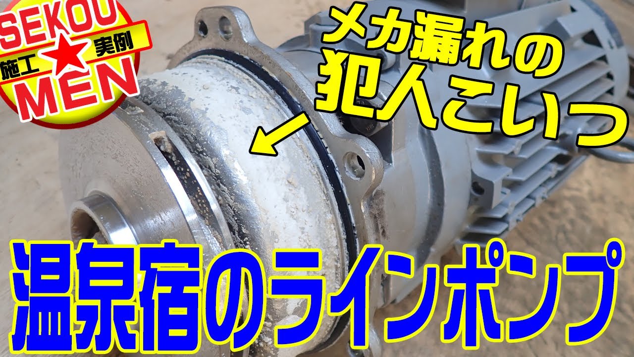 【よくあるやつ】カルシウム分がエグい温泉施設の給湯用ラインポンプ全分解整備！!