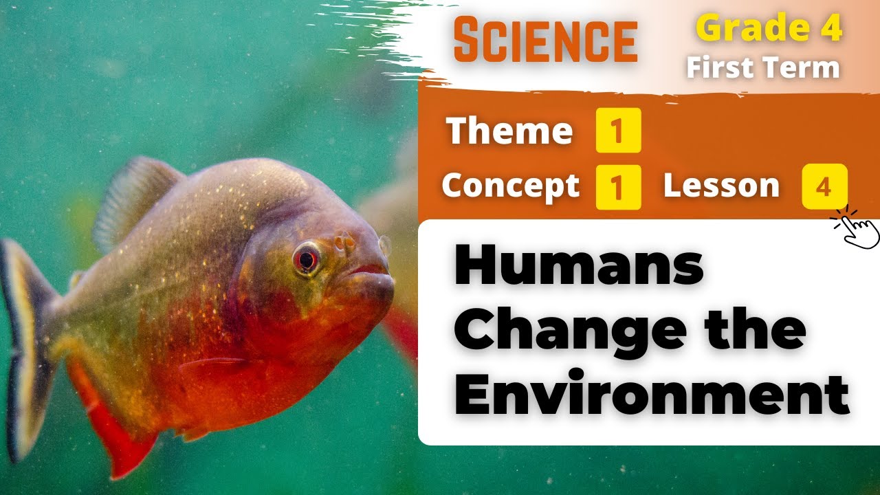Grade 4 | Humans Change the Environment | Theme 1 - Concept 1 - Lesson 4 | Science