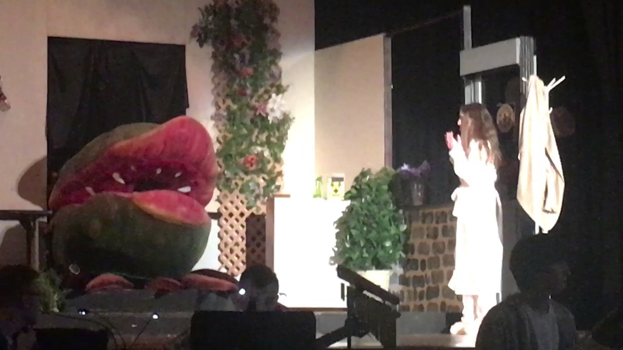 Newark High School, Little Shop of Horrors- Chowtime, Sominex, Death of Audrey