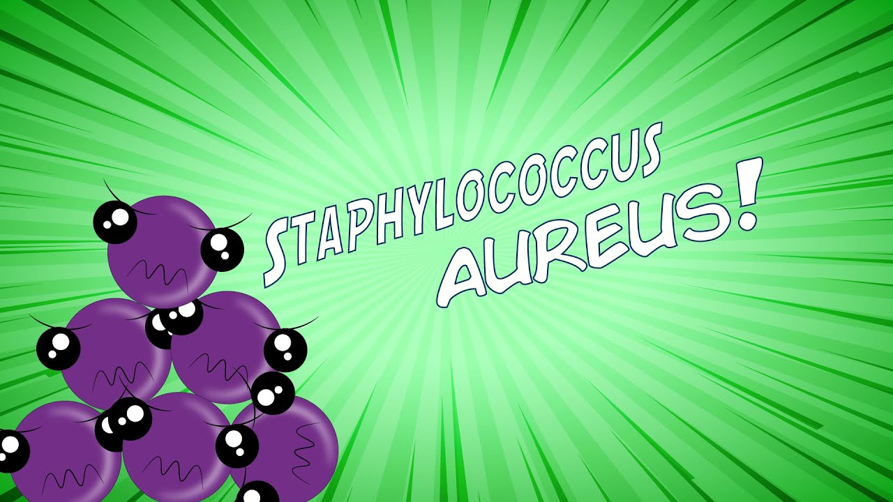 ¡Staphylococcus aureus en 8 minutos!