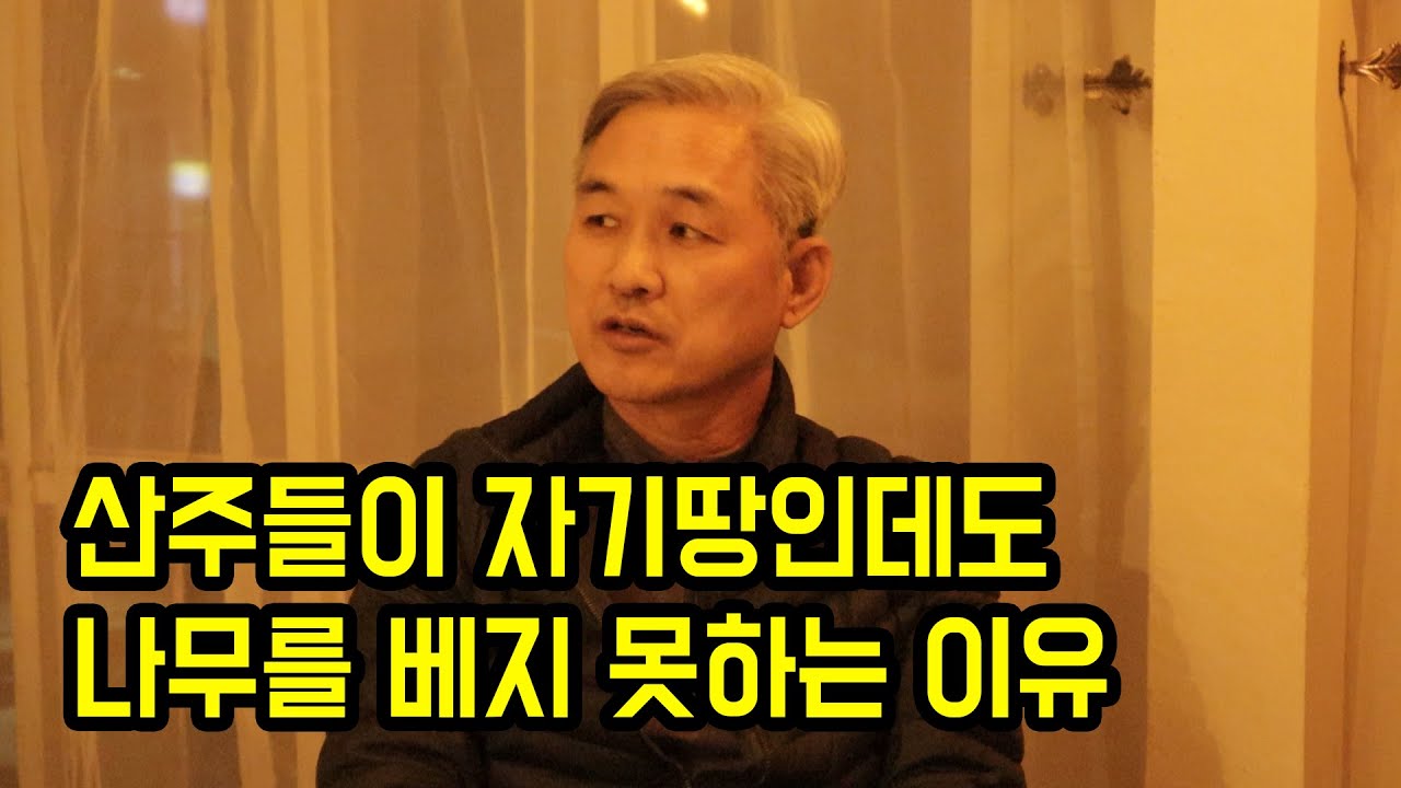 산주들이 자기 땅인데도 나무를 베지 못하는 이유...