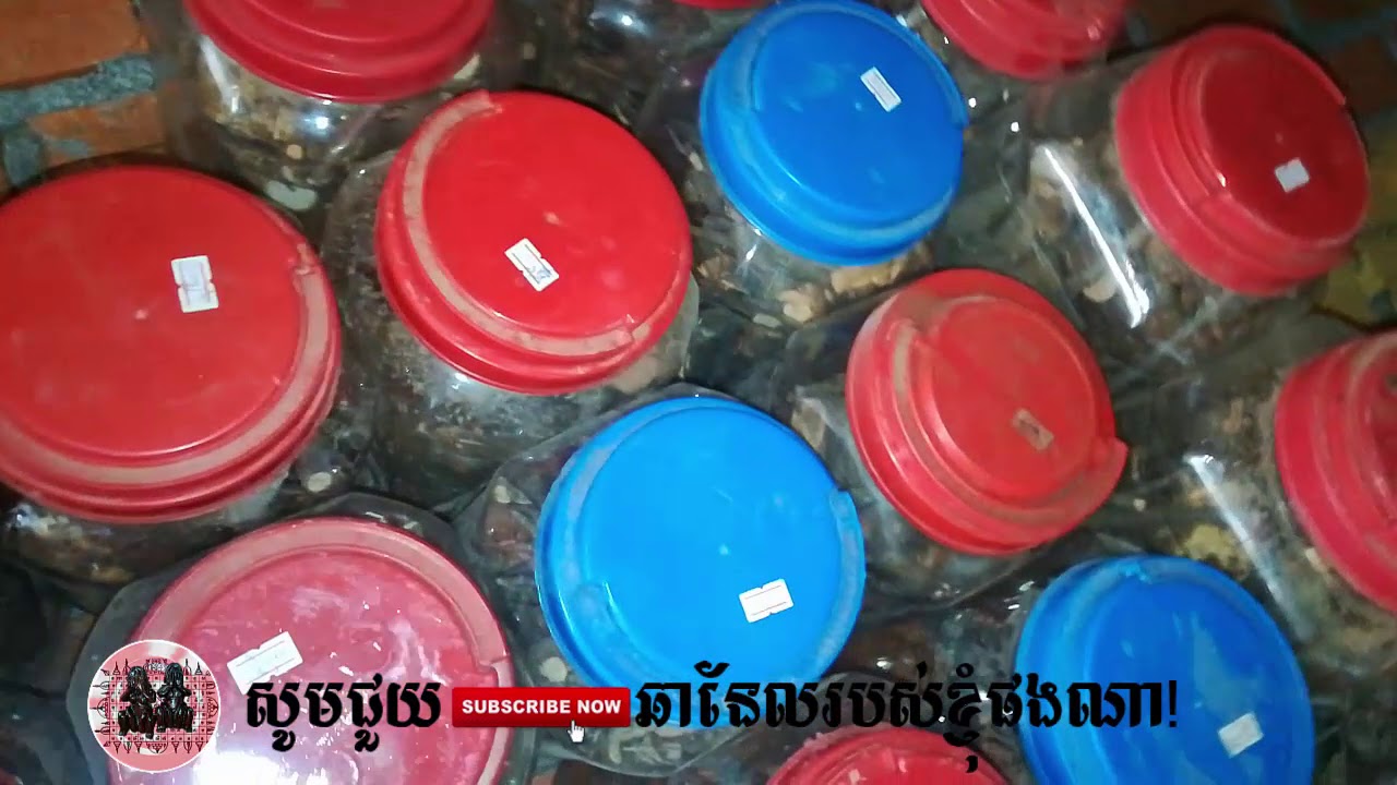 បញ្ញើក្អែក១៧០មុខ - Khmer Magic Daily