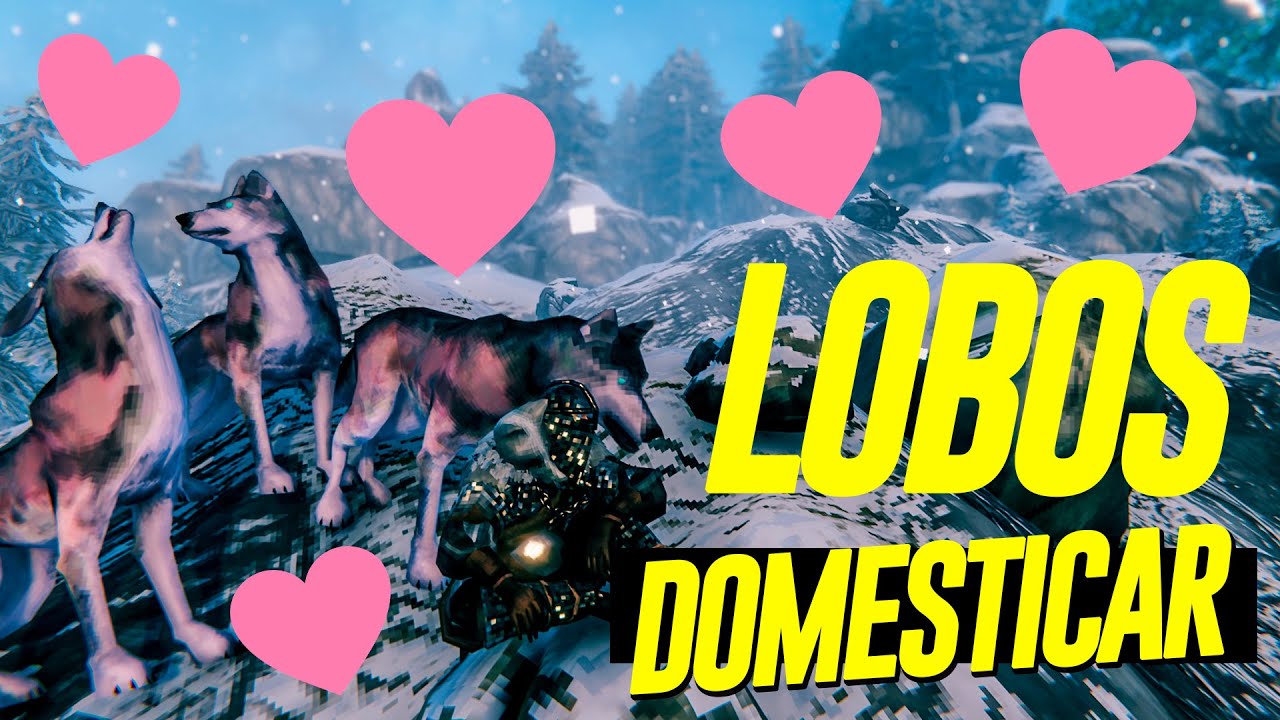 Como DOMESTICAR LOBOS -  Que te SIGAN y Subirlos al BARCO - Valheim Tutorial en Espa&ntilde;ol