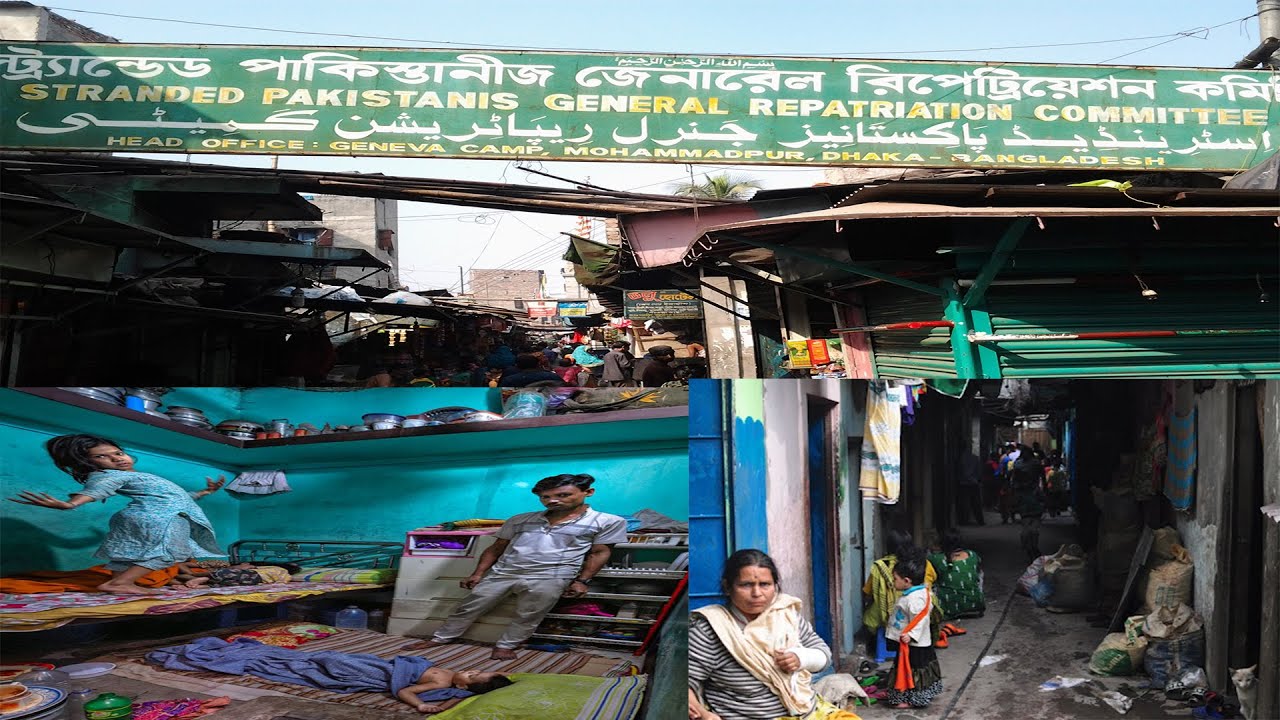 Dream Alive Foundation II Monthly Ration at Mohammadpur camps II January 2026