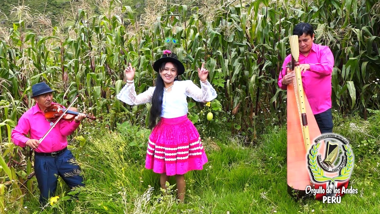 LA CALIDAD  DEL ARPA Y VIOLIN CON SIRENITA DE AYMARAES Y LOS HIJOS DE TINTAY LA EDENTIDAD AYMARINA